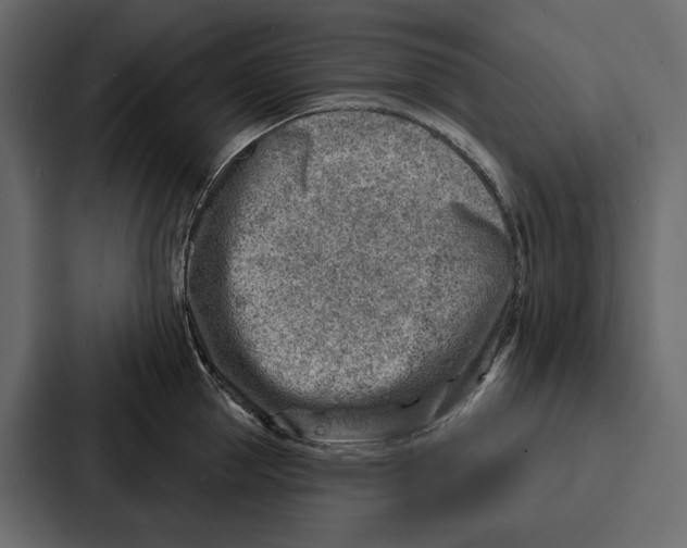 X0000086800953200705111832