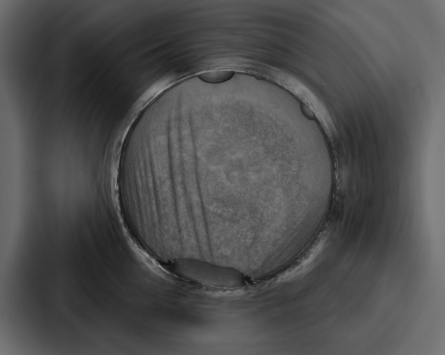 X0000086800954200705111832