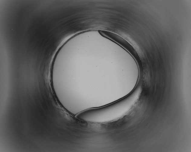 X0000086800956200705111832