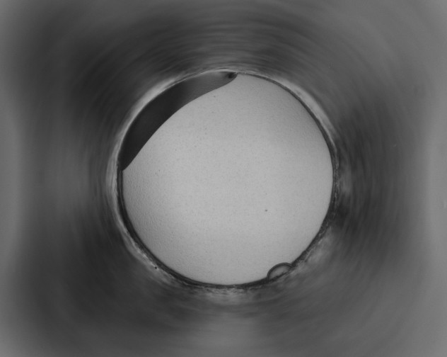 X0000086800957200705111832