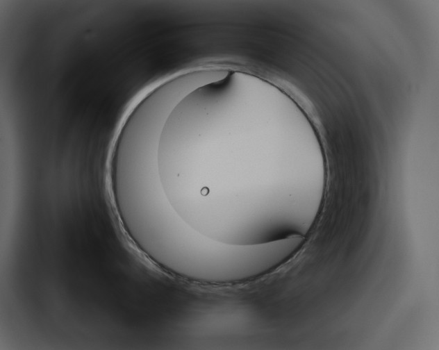 X0000086800960200705111832