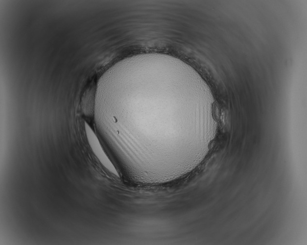 X0000086800963200705111832