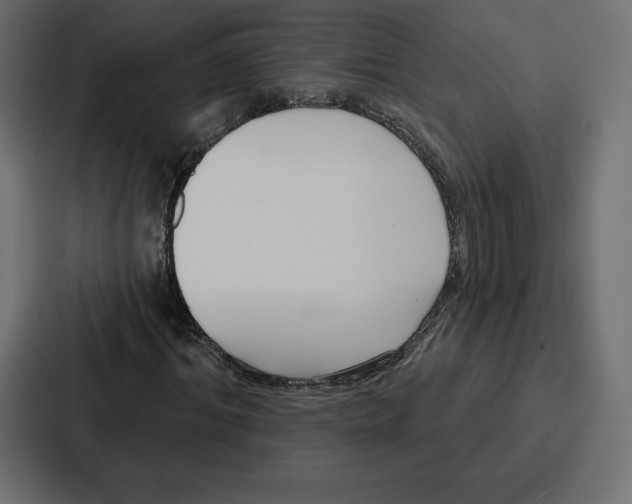 X0000086800964200705111832