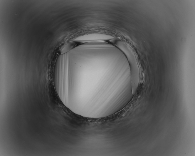 X0000086800965200705111832
