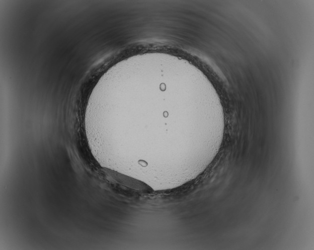 X0000086800967200705111832
