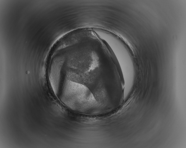 X0000086800975200705111832