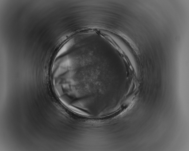 X0000086800977200705111832