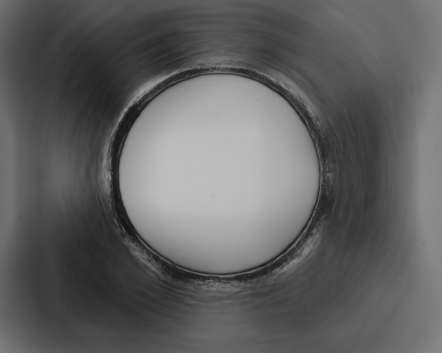 X0000086800981200705111832
