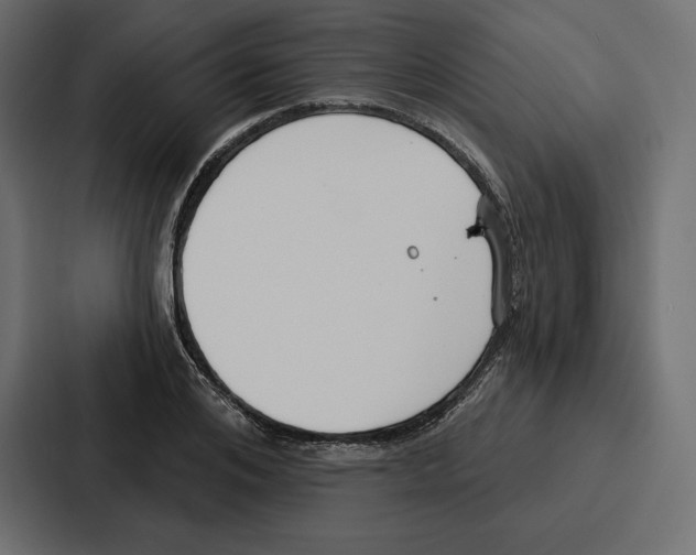 X0000086800984200705111832