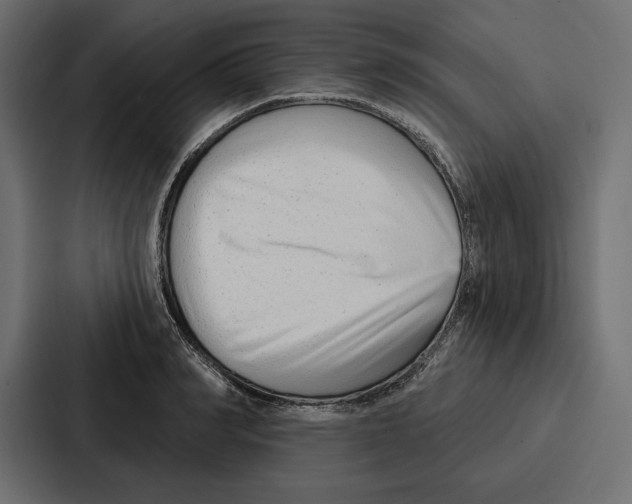 X0000086800990200705111831