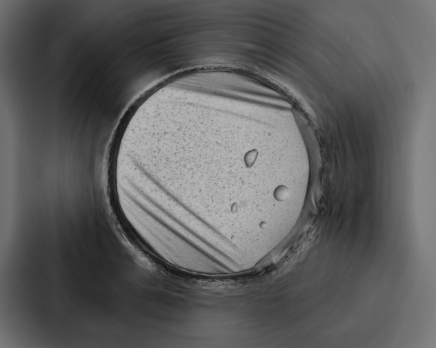 X0000086800991200705111831