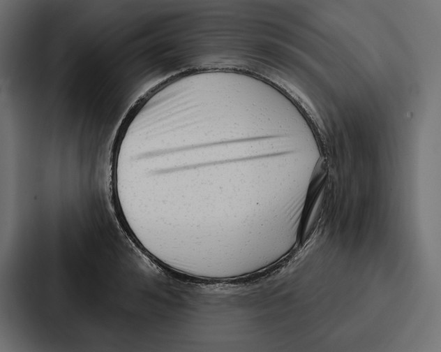 X0000086800992200705111831