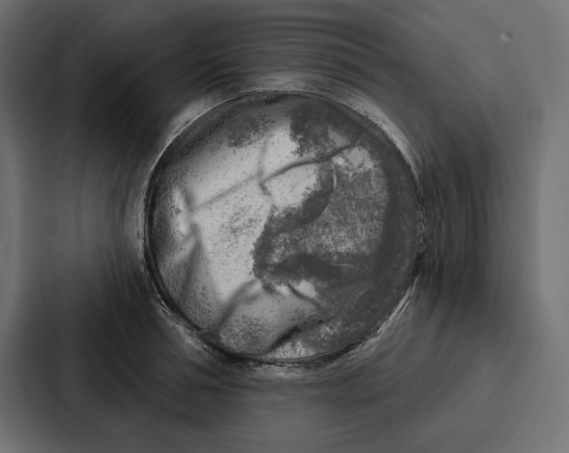 X0000086800994200705111831