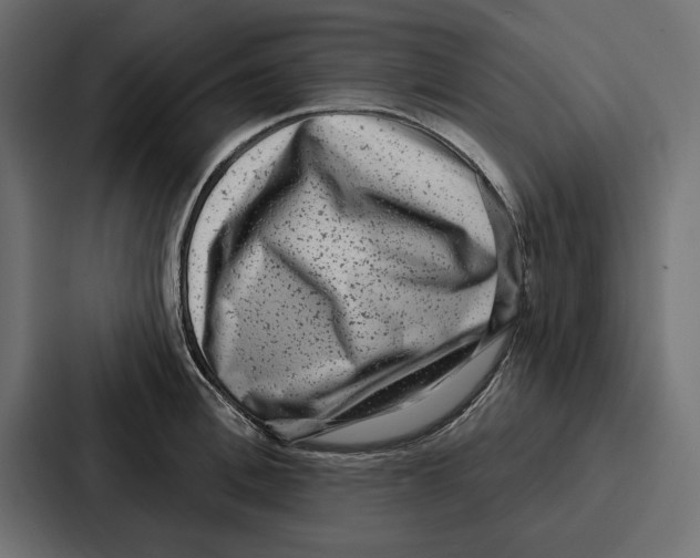 X0000086800996200705111831