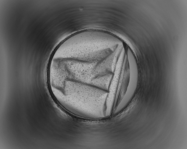 X0000086800999200705111831