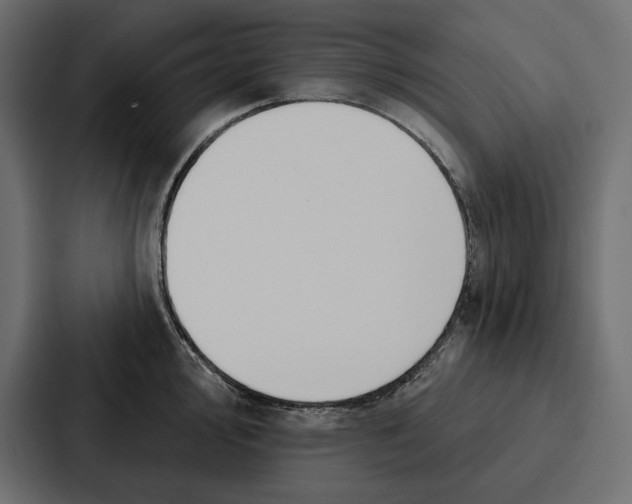 X0000086801000200705111831