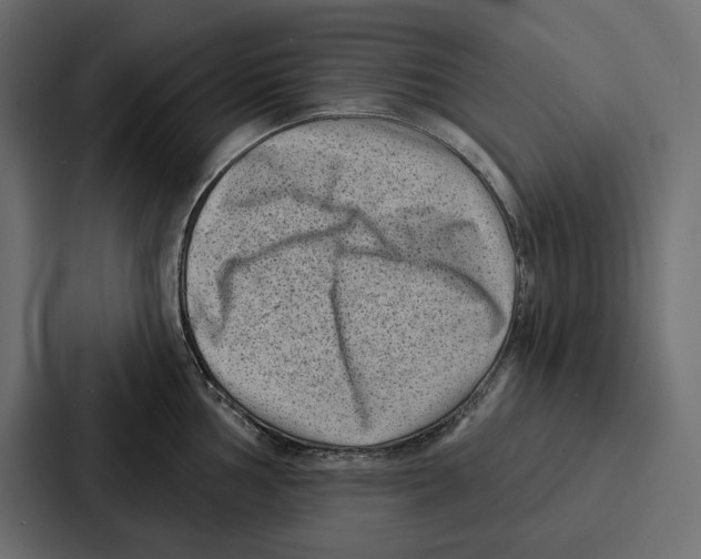 X0000086801002200705111831