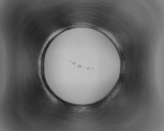 X0000086801003200705111831