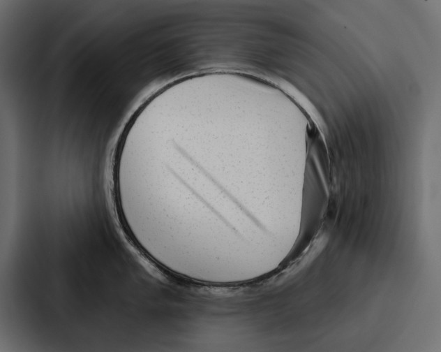 X0000086801005200705111831