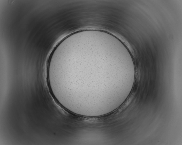 X0000086801006200705111831