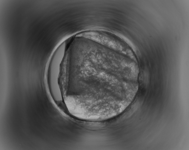 X0000086801007200705111831