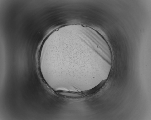 X0000086801008200705111831