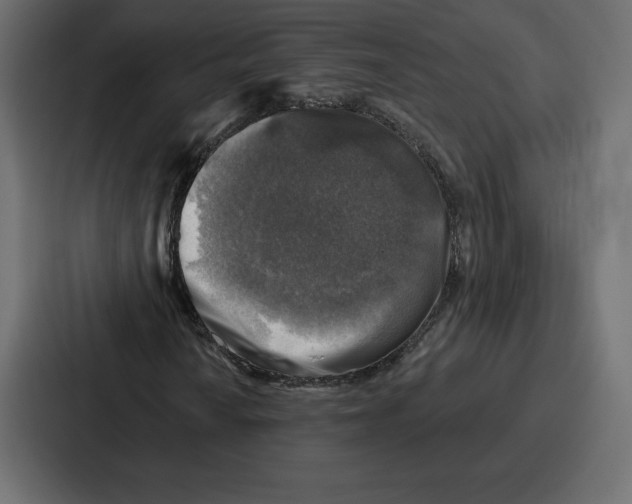 X0000086801010200705111831