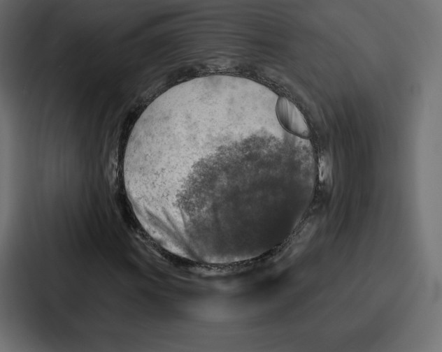 X0000086801011200705111831