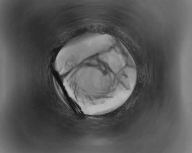 X0000086801013200705111831