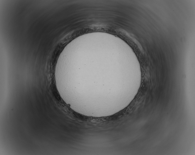 X0000086801015200705111831