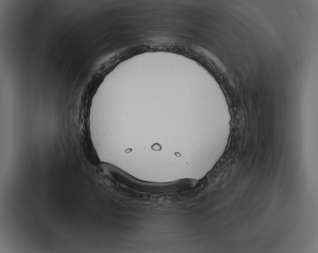 X0000086801016200705111831