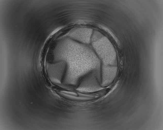 X0000086801018200705111831