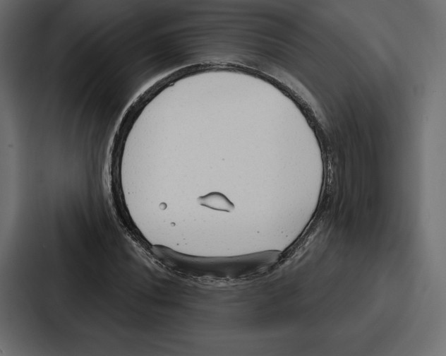 X0000086801020200705111831