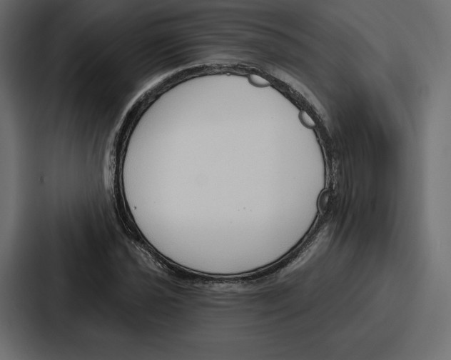 X0000086801021200705111831