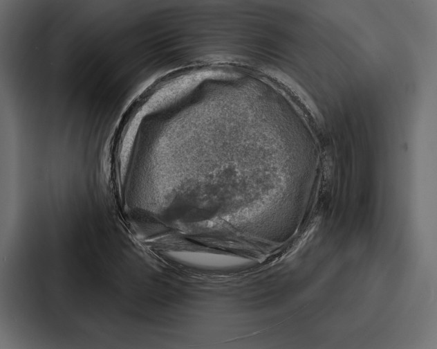 X0000086801023200705111831