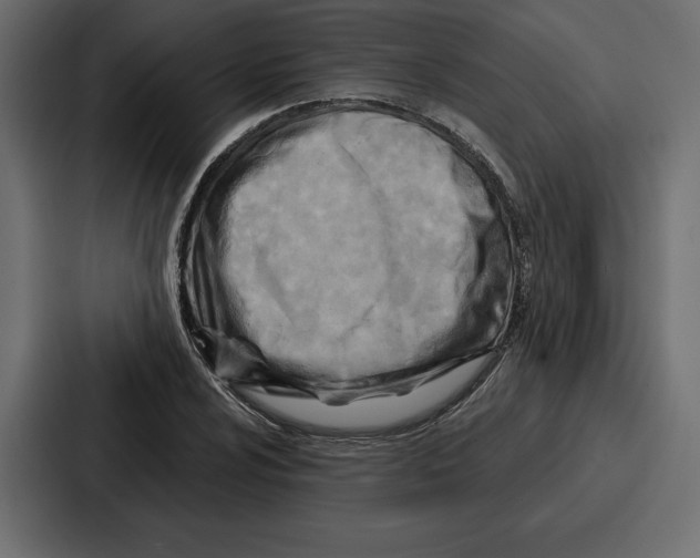 X0000086801024200705111831