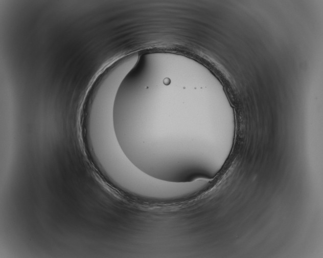 X0000086801026200705111831