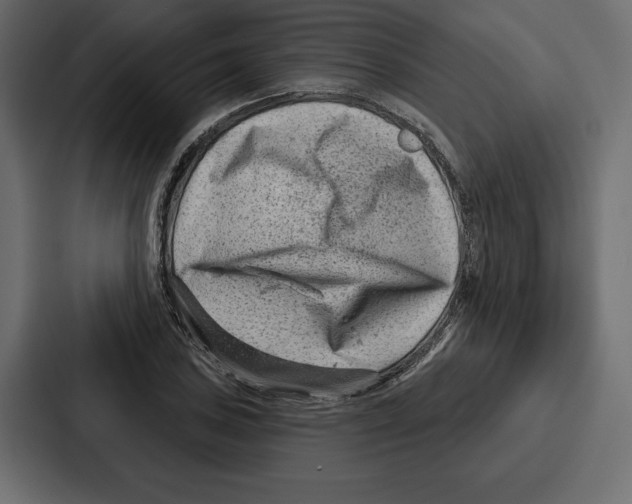 X0000086801027200705111831