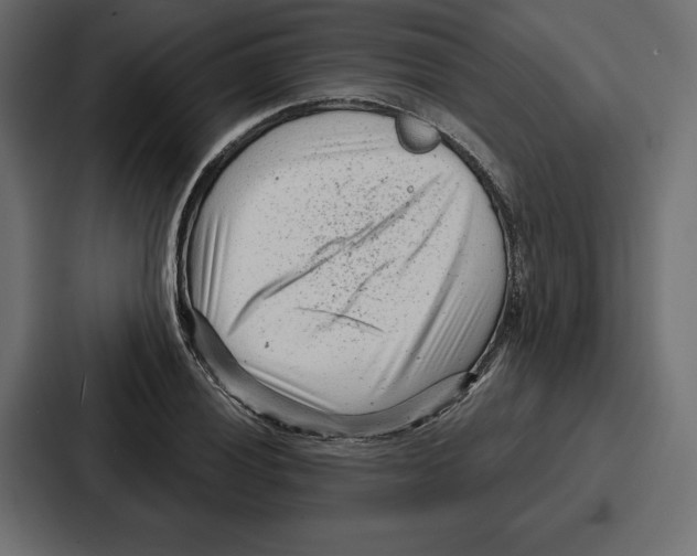 X0000086801028200705111831