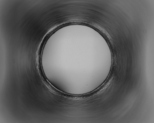 X0000086801029200705111831