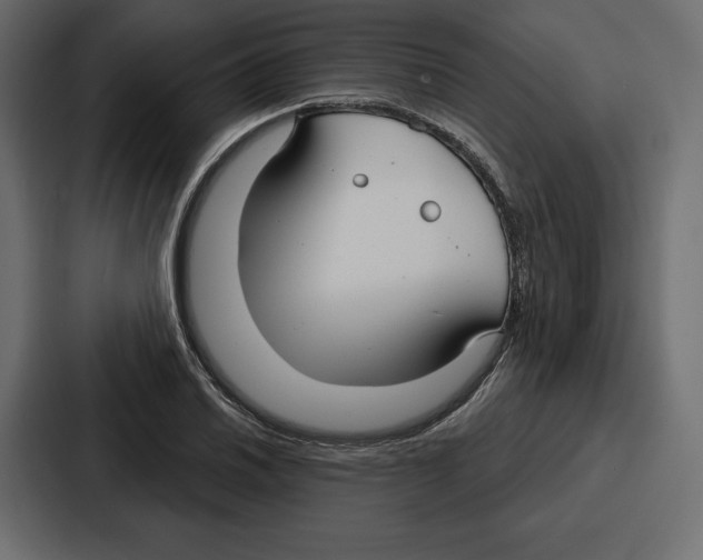 X0000086801030200705111831