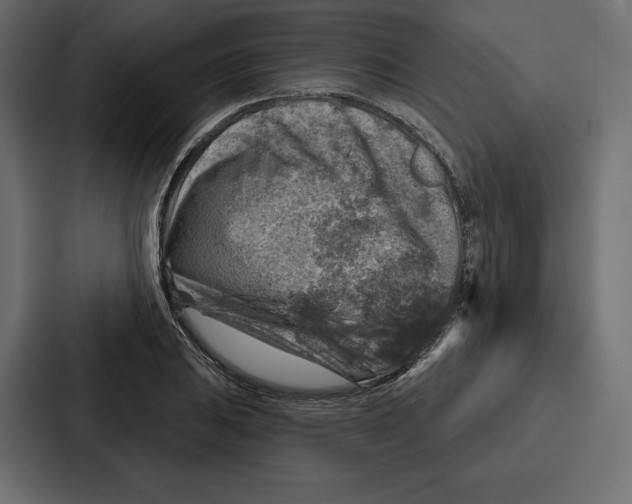 X0000086801031200705111831