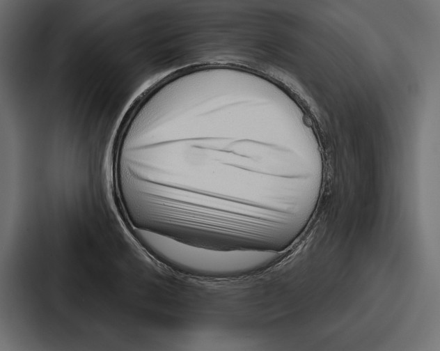 X0000086801032200705111831