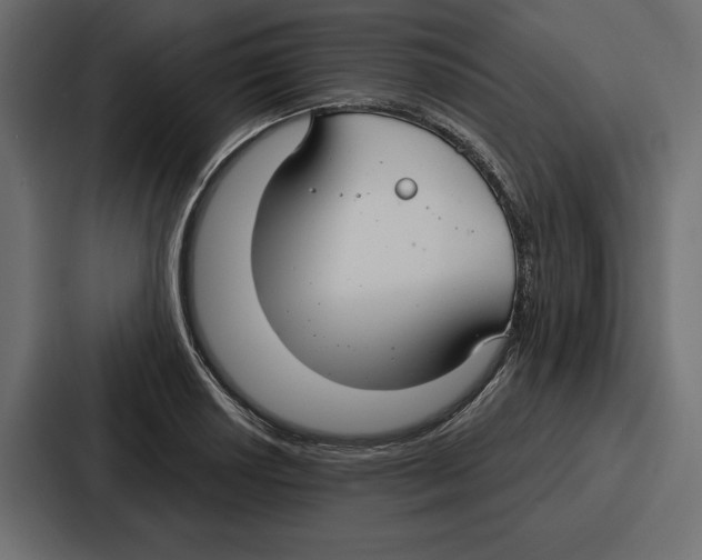 X0000086801034200705111831