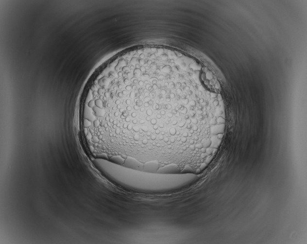 X0000086801036200705111831