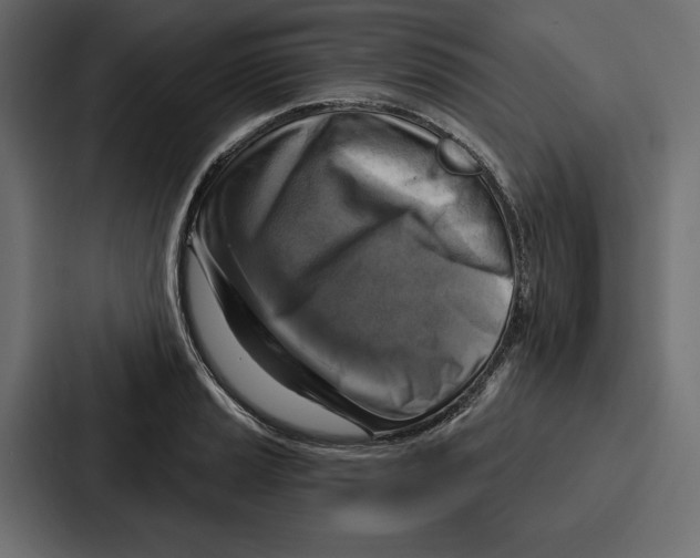 X0000086801037200705111831