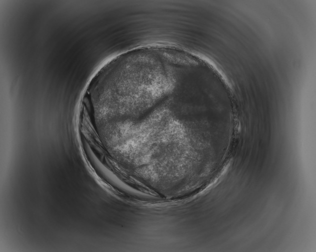 X0000086801038200705111831