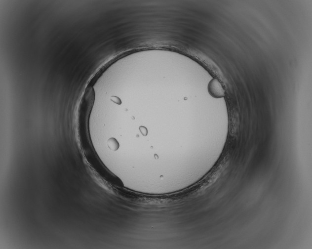 X0000086801039200705111831