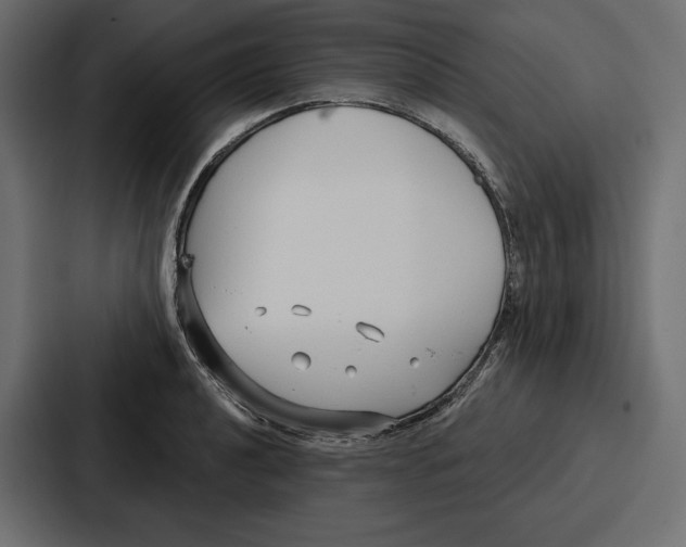 X0000086801040200705111831