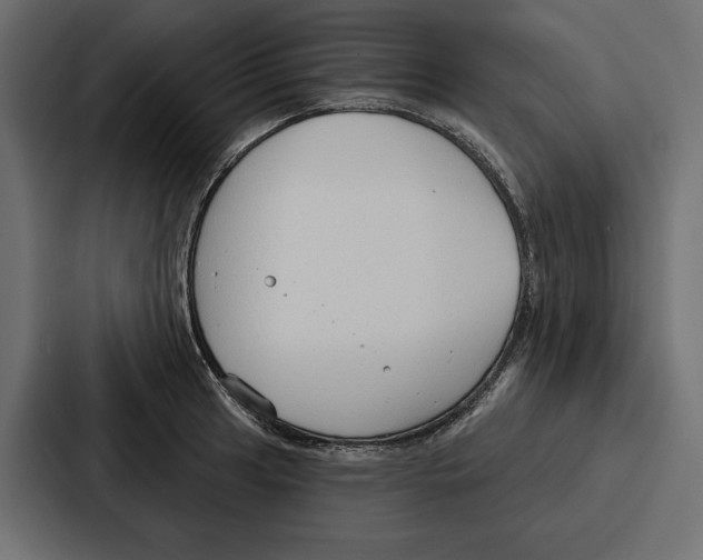 X0000086801041200705111831